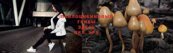 ГАЛЛЮЦИНОГЕННЫЕ ГРИБЫ Балабаново