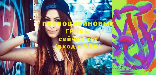 молекула духа Балахна