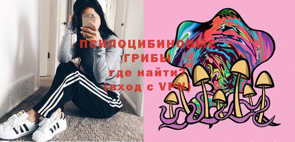 молекула духа Балахна