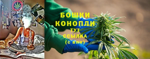 ГАЛЛЮЦИНОГЕННЫЕ ГРИБЫ Балабаново