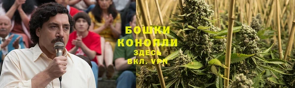ГАЛЛЮЦИНОГЕННЫЕ ГРИБЫ Балабаново