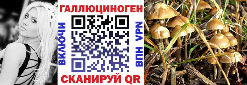 Галлюциногенные грибы MAGIC MUSHROOMS Вельск
